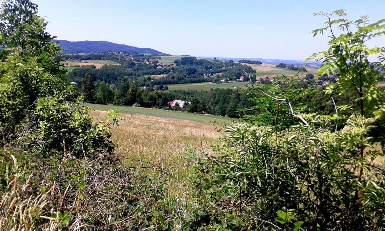 Agroturystyka Zielona Dolinka Stryszow Exterior foto