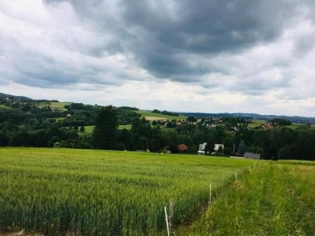 Agroturystyka Zielona Dolinka Stryszow Exterior foto