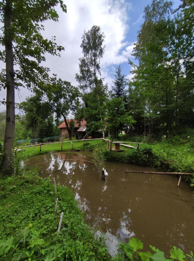 Agroturystyka Zielona Dolinka Stryszow Exterior foto